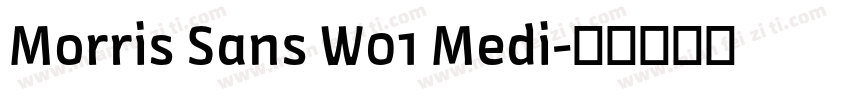 Morris Sans W01 Medi字体转换